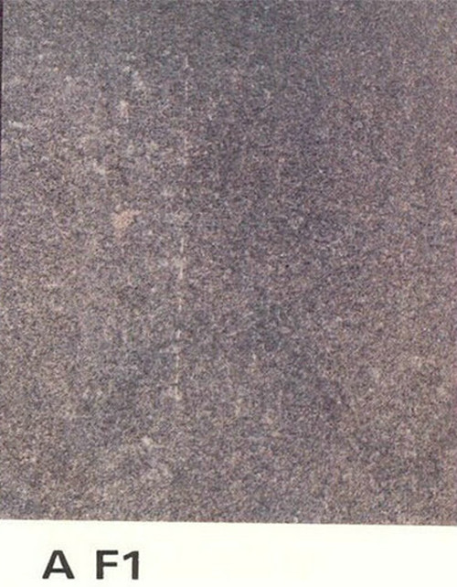A F1